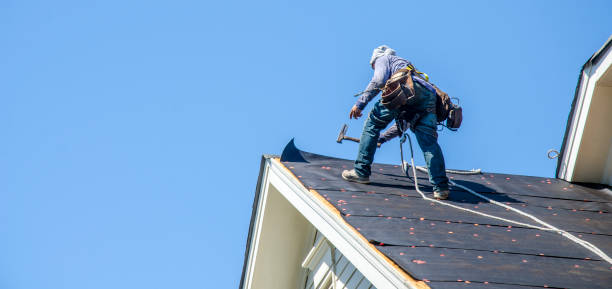 Best Roof Maintenance Services  in Lochsloy, WA